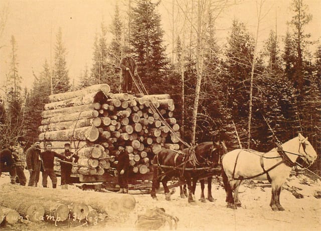 Horses with a load of logs